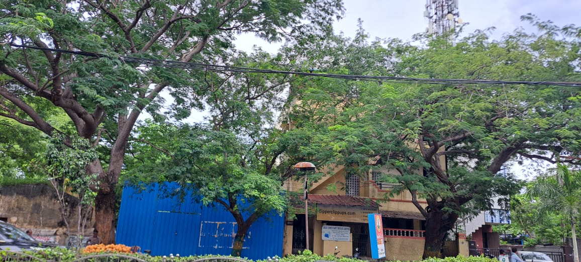 COMMERCIAL PROPERTY FOR SALE AT CHENNAI GUINDY